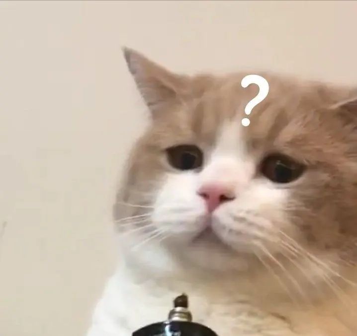 1656569153921766.jpg
