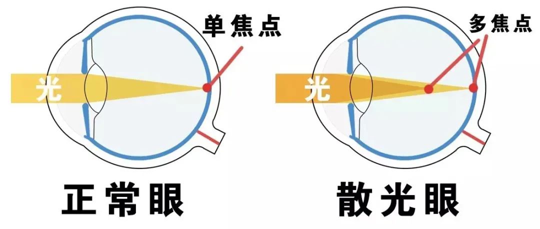 1660867957990551.jpg