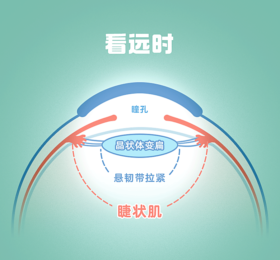 1671615587114086.png