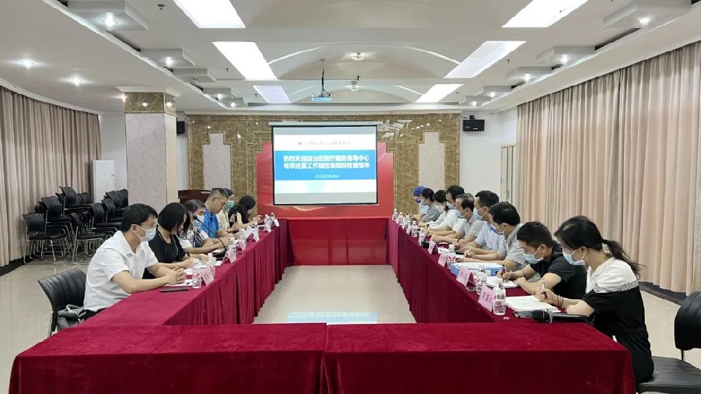 自治区医疗服务指导中心专项巡查组莅临我院开展专项巡查督导工作 
