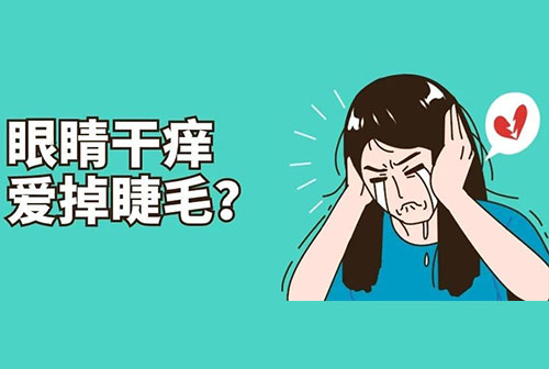 眼睛干痒，爱掉睫毛？不要忽视蠕形螨对睑缘的“骚扰” 