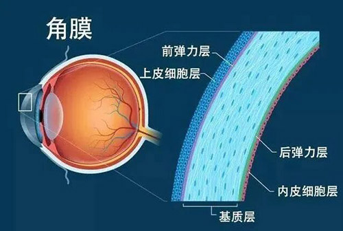 近视手术门槛揭秘：你的角膜厚度达标了吗？ 